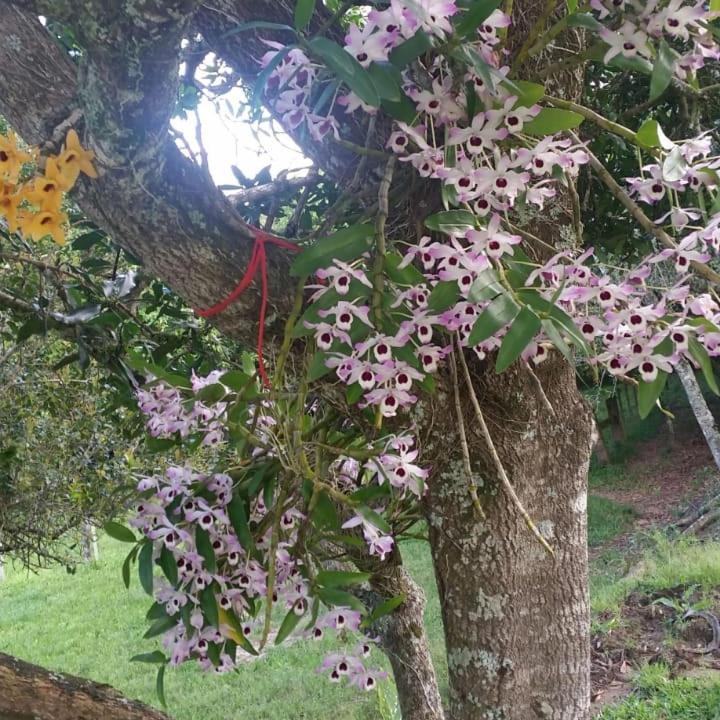Linda Casa De Campo Viamão 外观 照片