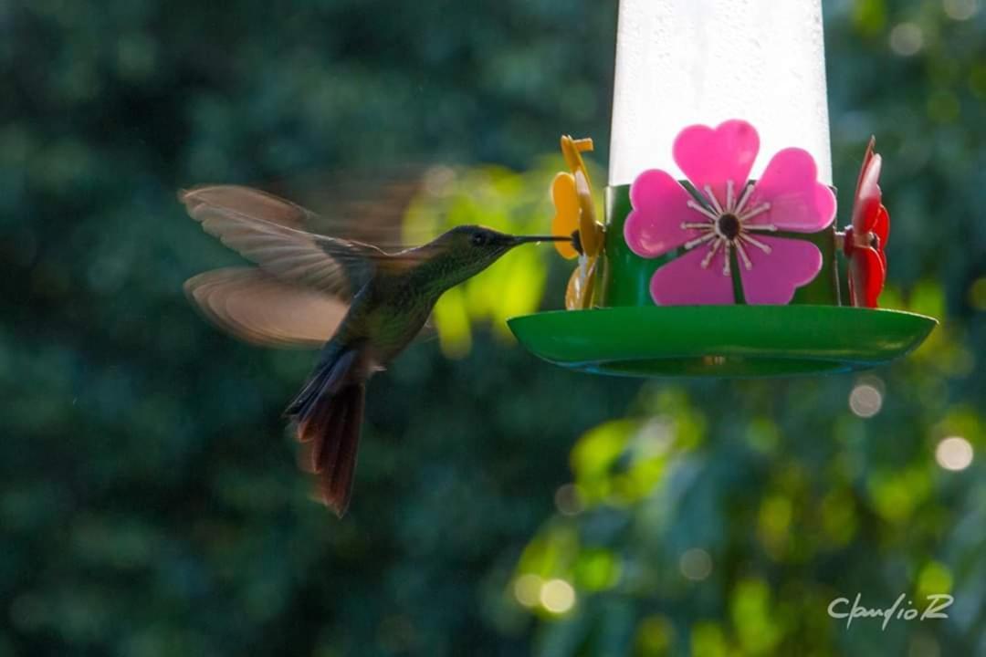 Linda Casa De Campo Viamão 外观 照片